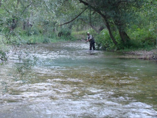 BİR EFSANENİN PEŞİNDEN