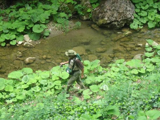 2009 GİZLİ CENNETİMİN YAKIŞIKLILARI İLE BULUŞMA BÖLÜM 2