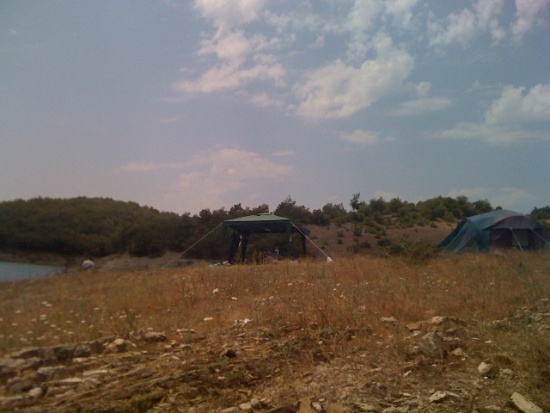 ALTINKAYA RAPORU