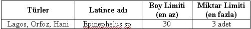 SU  ÜRÜNLERİ  AVCILIĞI  TEBLİĞLERİNDE  YAPILAN  DEĞİŞİKLİKLER  RESMİ  GAZETEDE  YAYINLANDI